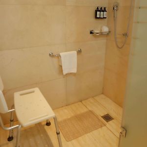 Deluxe King Suite Park View Mobility Accessible